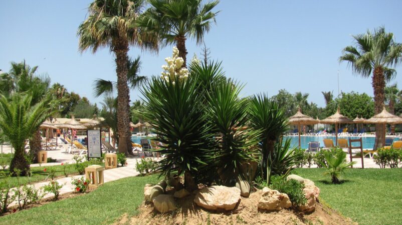 Hôtel Sidi Mansour Resort & Spa